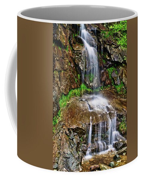 Waterfalls Coffee Mug featuring the photograph Grandfather Waterfall by Meta Gatschenberger