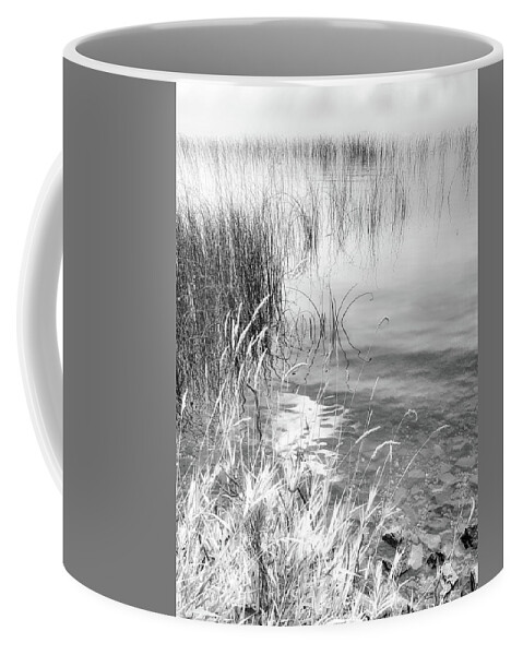 Black And White Photography Coffee Mug featuring the photograph Grasses and Reeds Black and White by Allan Van Gasbeck