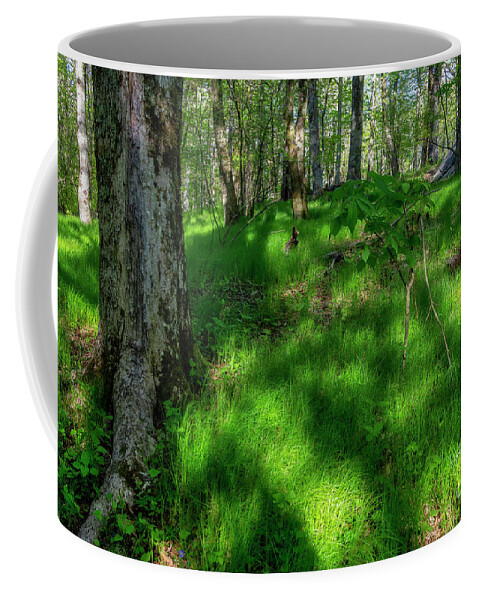 Grass Coffee Mug featuring the photograph Grasses of the Blue Ridges by Shelia Hunt