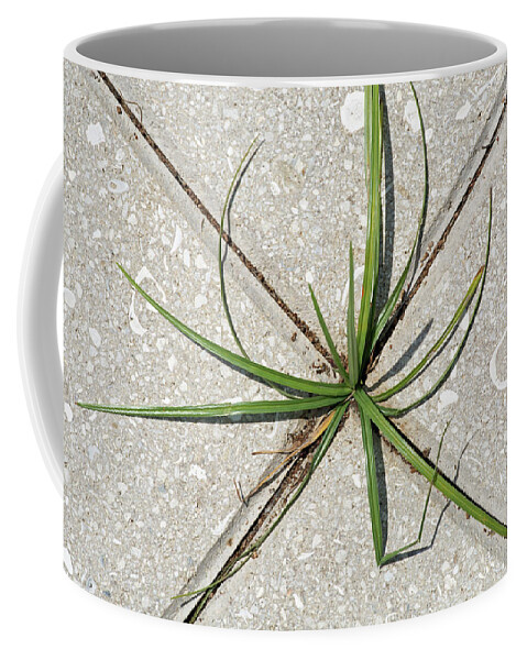 Jekyll Island Coffee Mug featuring the photograph Grassping by Bruce Gourley