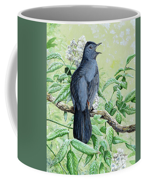 Wildlife Art Coffee Mug featuring the painting Gray Catbird by Barry Kent MacKay