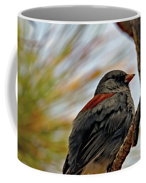 Utah Coffee Mug featuring the photograph Gray-headed Junco In Red Canyon by Jennifer Robin