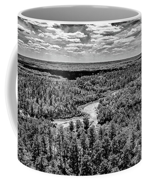 New Jersey Coffee Mug featuring the photograph Gray Scale Outdoors Pinelands by Louis Dallara