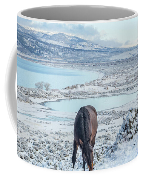 Nevada Coffee Mug featuring the photograph Grazing Above Washoe by Marc Crumpler
