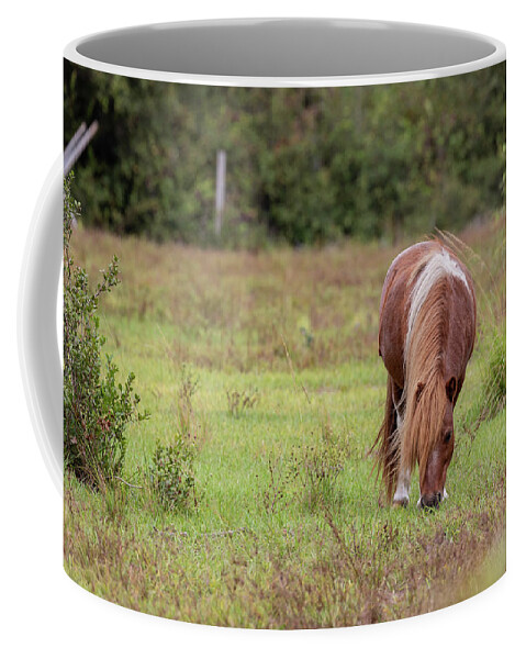 Camping Coffee Mug featuring the photograph Grazing Horse #291 by Michael Fryd