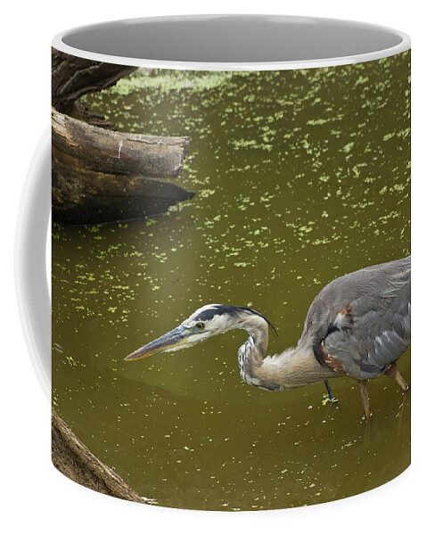Wildlife Coffee Mug featuring the photograph Great Blue Heron - 7535 by Jerry Owens