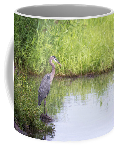Great Blue Heron Coffee Mug featuring the photograph Great Blue Heron in Profile by Susan Rissi Tregoning