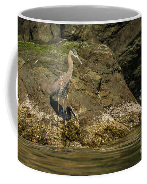 Ardea Herodias Coffee Mug featuring the photograph Great Blue Heron on Lopez Island Shore by Nancy Gleason