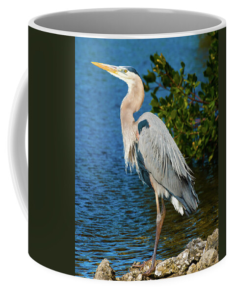 Great Blue Heron Coffee Mug featuring the photograph Great Blue Heron on Sanibel by Clint Buhler