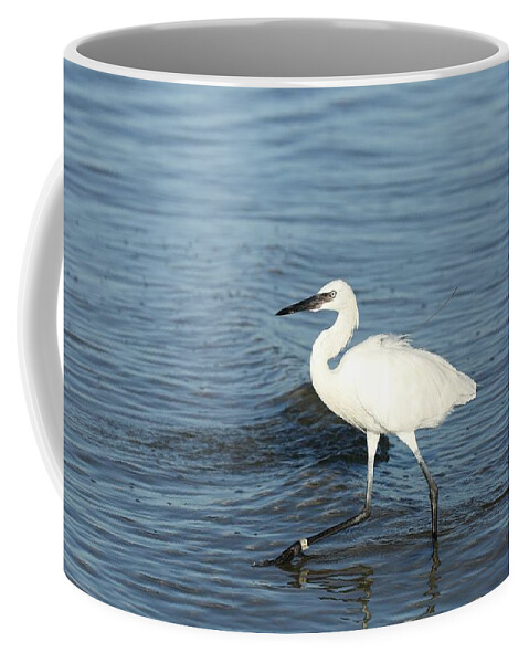 White Heron Coffee Mug featuring the photograph Great blue heron white morph by Mingming Jiang