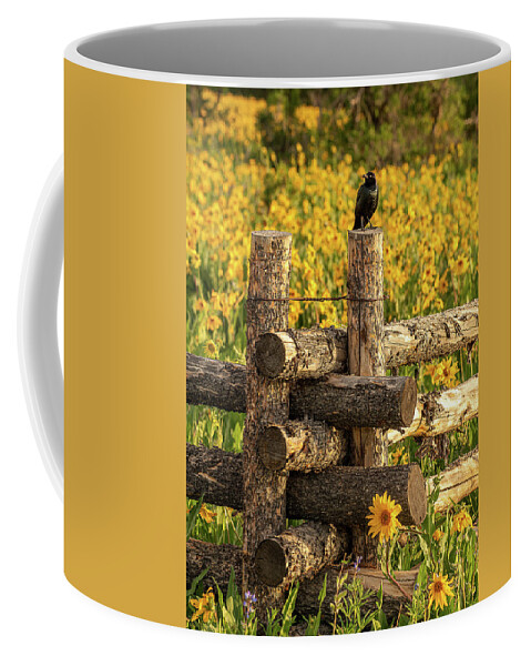 Black Bird Coffee Mug featuring the photograph Great Catch by Angela Moyer