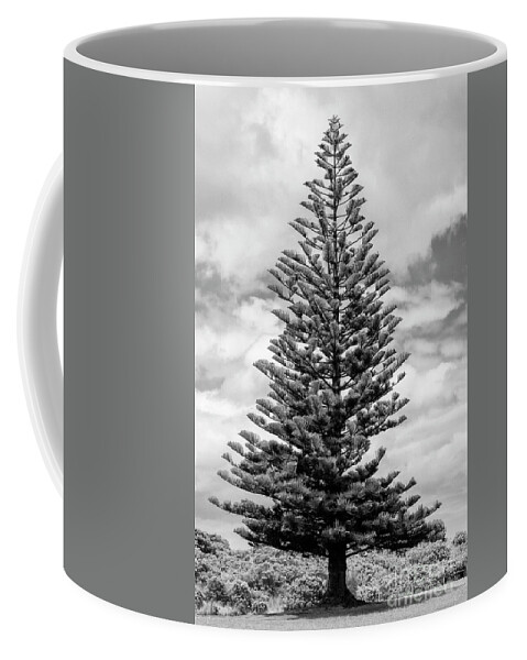 Great Ocean Road Coffee Mug featuring the photograph Great Christmas Tree 2 by Bob Phillips