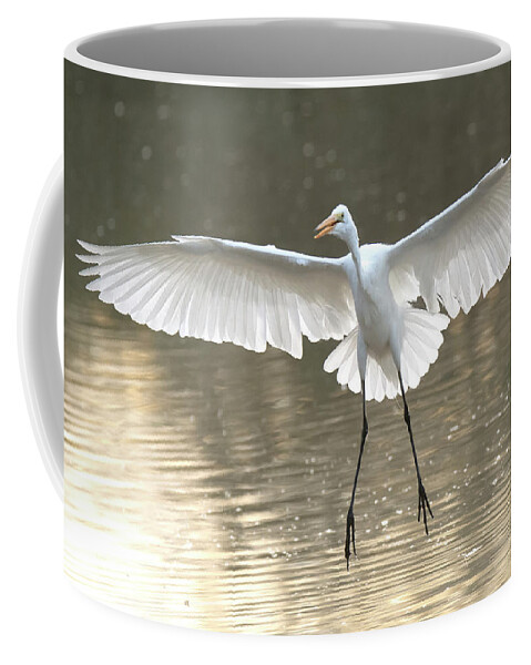 Great Egret Coffee Mug featuring the photograph Great Egret 5759-011621-3 by Tam Ryan