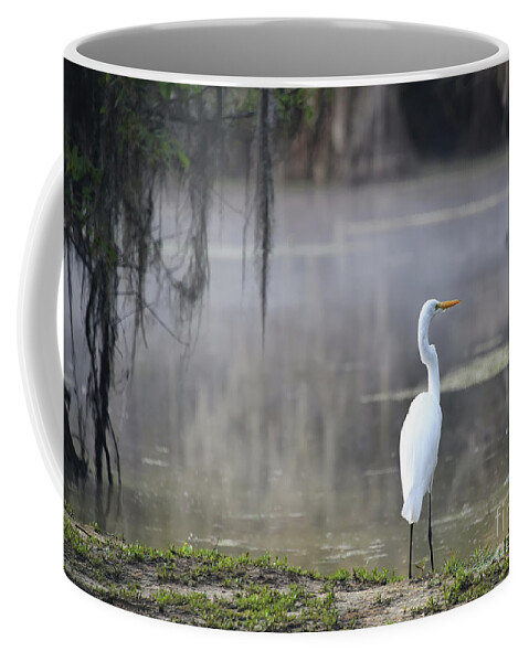 Great Egret Coffee Mug featuring the photograph Great egret by Andrea Anderegg