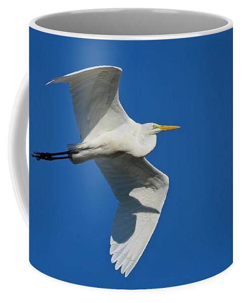 Blue Coffee Mug featuring the photograph Great Egret In Flight by Steve DaPonte