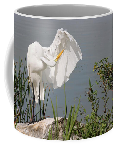 Great Egret Coffee Mug featuring the photograph Great Egret in Photo Session 2 by Mingming Jiang