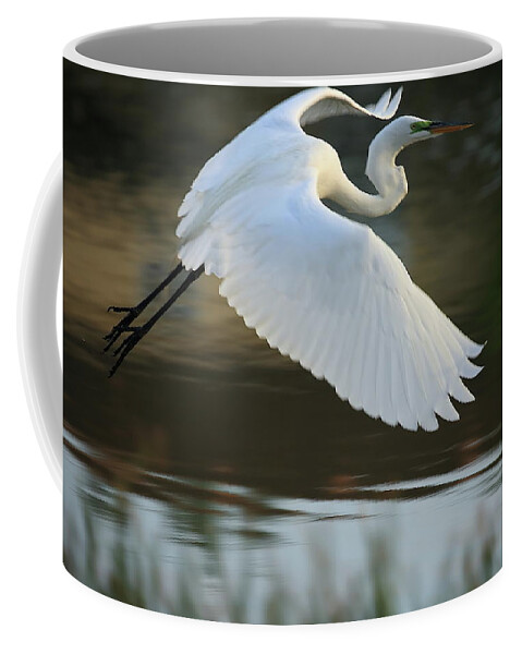 Great Egret Coffee Mug featuring the photograph Great Egret with Green Lore in Flight by Mingming Jiang