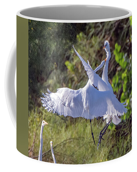 Great Egret Coffee Mug featuring the photograph Great Egrets 8224-060121-3 by Tam Ryan