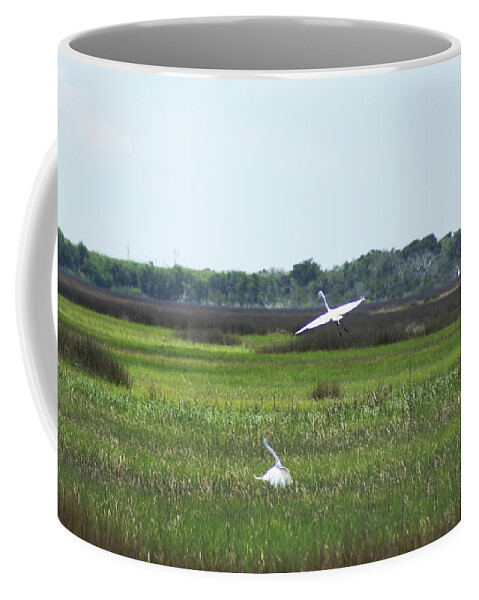  Coffee Mug featuring the photograph Great Egrets by Heather E Harman