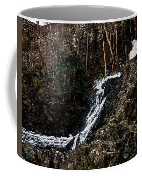 Great Falls Coffee Mug featuring the photograph great falls - Rockingham - 06 by Flees Photos