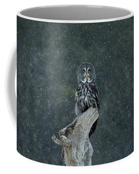 Owl Coffee Mug featuring the photograph Great Gray Owl In Snowstorm by CR Courson