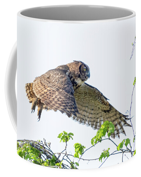 Great Horned Owl Coffee Mug featuring the photograph Great Horned Owl in Flight by Jim Miller