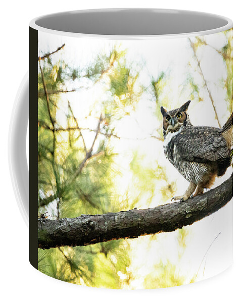 Owl Coffee Mug featuring the photograph Great Horned Owl in the Croatan National Forest by Bob Decker