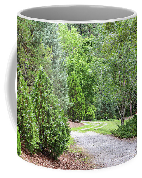 Trees Coffee Mug featuring the photograph Green And Greener Path by Ed Williams