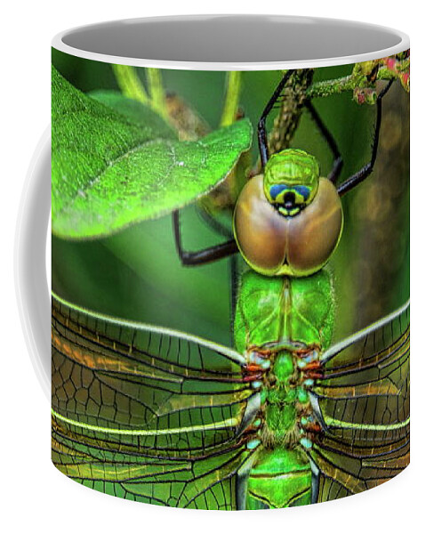 Insect Coffee Mug featuring the photograph Green Darner Dragonfly Closeup by Dale Kauzlaric
