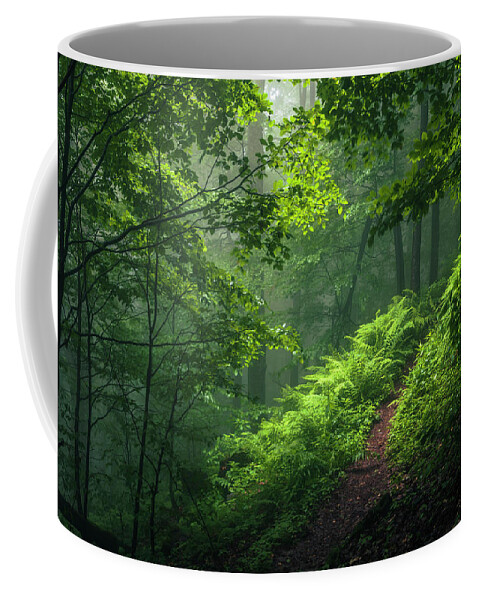 Mountain Coffee Mug featuring the photograph Green Forest by Evgeni Dinev