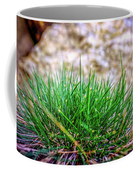 New Hampshire Coffee Mug featuring the photograph Green Grass by Jeff Sinon