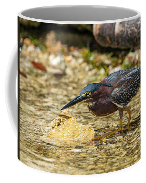 Camping Coffee Mug featuring the photograph Green Heron by Todd Tucker