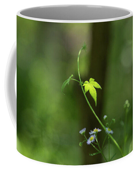 Flower Coffee Mug featuring the photograph Green Leaf on a Vine by Amelia Pearn