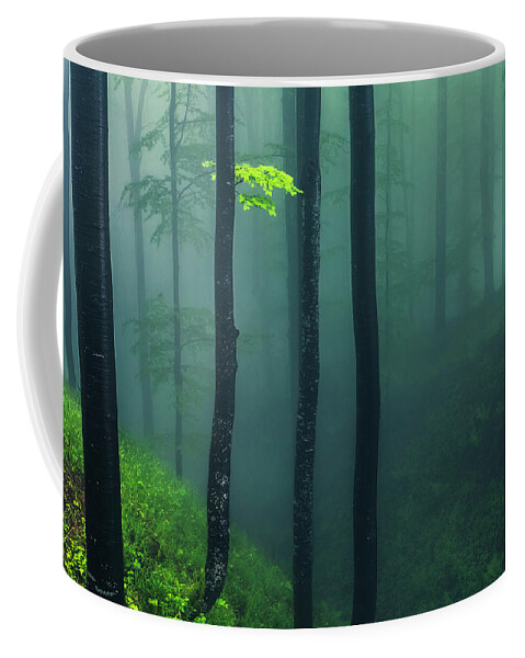 Balkan Mountains Coffee Mug featuring the photograph Green Mist by Evgeni Dinev