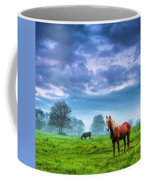 Fog Coffee Mug featuring the photograph Green Morn by Evgeni Dinev