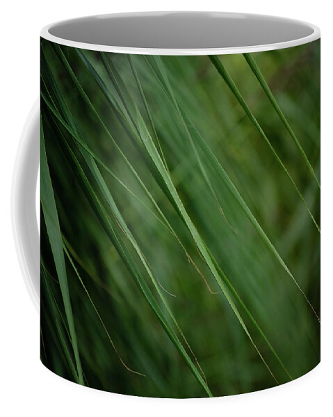 Beach Coffee Mug featuring the photograph Green of Summer Leaves by Spikey Mouse Photography