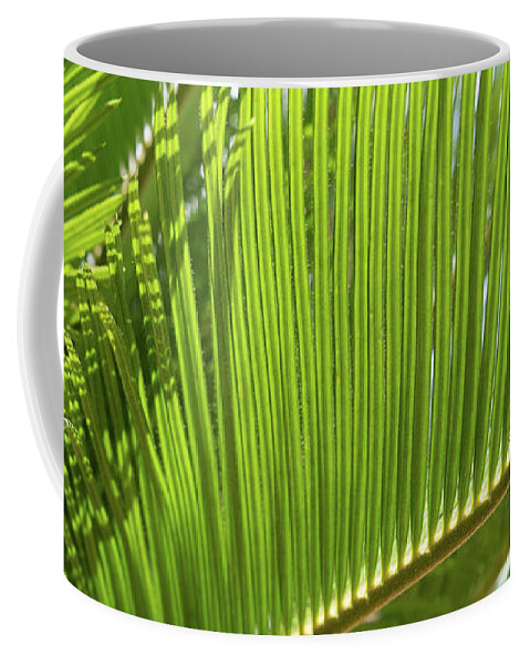 Palm Fern Coffee Mug featuring the photograph Green palm fern and Mediterranean sunlight by Adriana Mueller