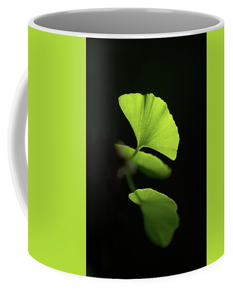 Leaves Coffee Mug featuring the photograph Green Sagacity by Philippe Sainte-Laudy