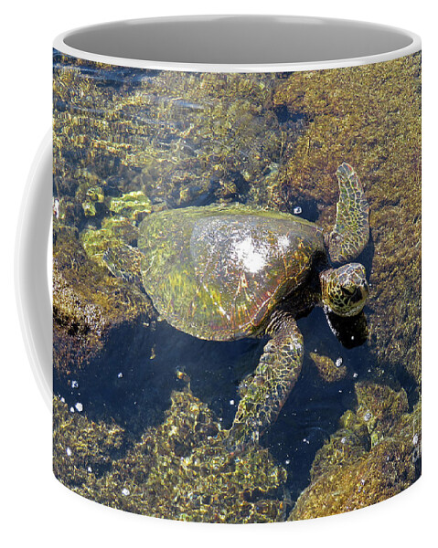 Turtle Coffee Mug featuring the photograph Green Sea Turtle by Cindy Murphy