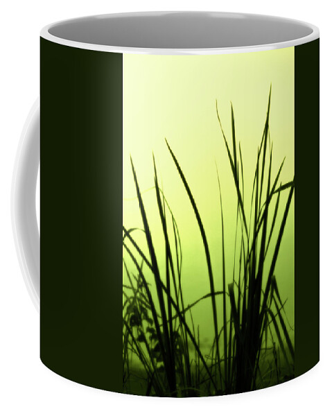 Reeds Coffee Mug featuring the photograph Green Soft Edges of morning by Cynthia Dickinson
