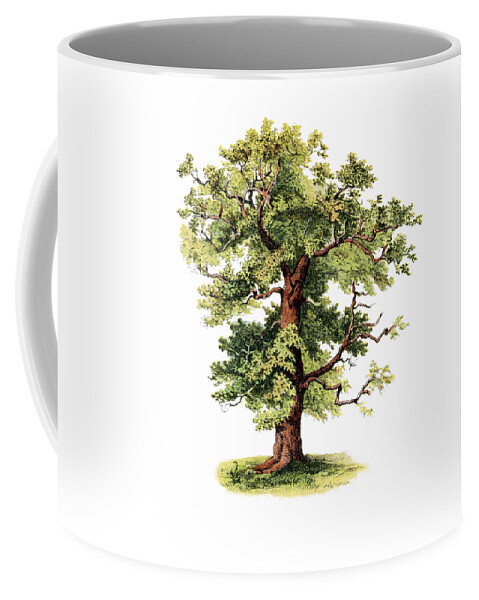 Oak Coffee Mug featuring the digital art Green Strength by Madame Memento