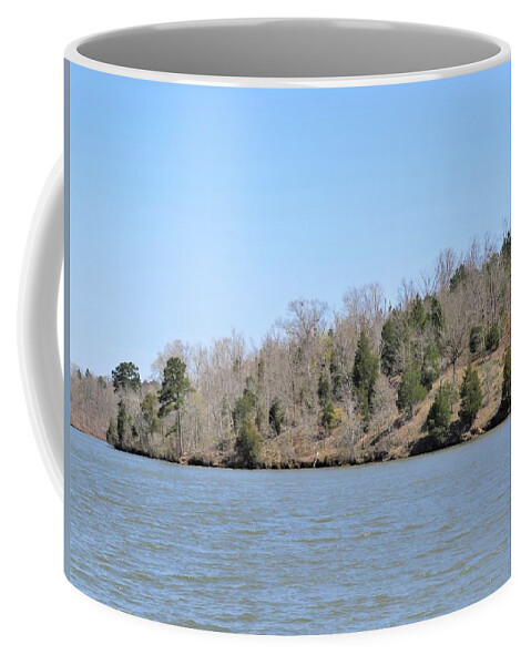 Trees Coffee Mug featuring the photograph Green Tree Lake Framing by Ed Williams