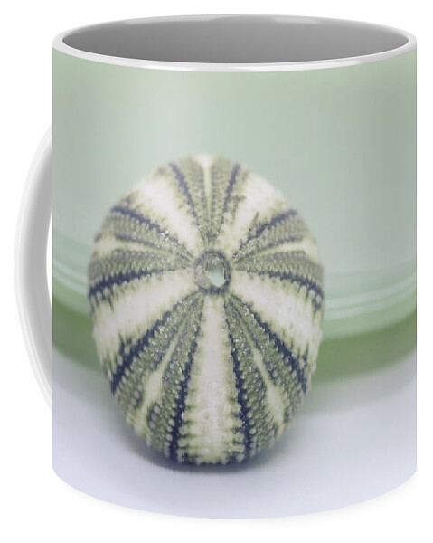 Urchin Coffee Mug featuring the photograph Green Urchin by Lauri Novak
