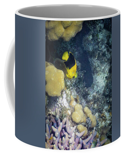 Animals Coffee Mug featuring the photograph Greetings by Lynne Browne