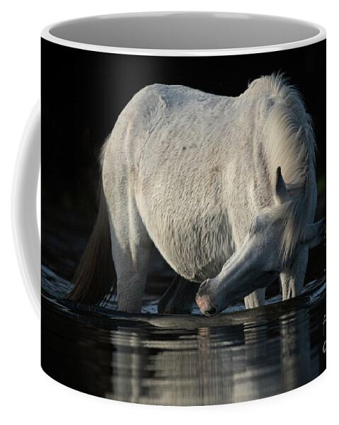 Salt River Wild Horse Coffee Mug featuring the photograph Grey Beauty by Shannon Hastings