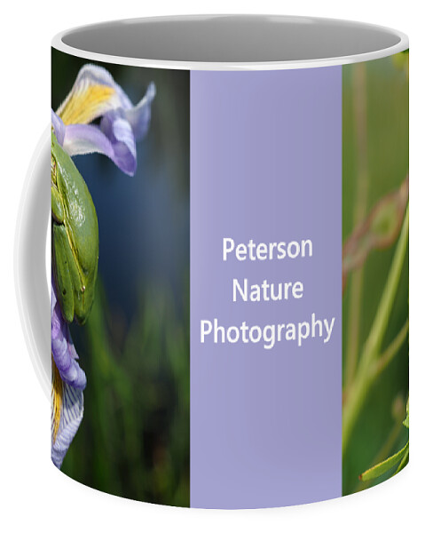 Ambush Coffee Mug featuring the photograph Grey Tree-Frog on Blue Flag Iris by James Peterson