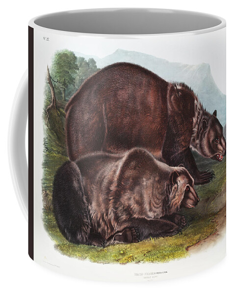 Grizzly Bear Coffee Mug featuring the mixed media Grizzly Bear. John Woodhouse Audubon by World Art Collective