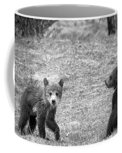 Grizzly Coffee Mug featuring the photograph Grizzly Buddies Black And White by Adam Jewell