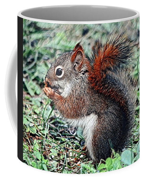 Squirrel Coffee Mug featuring the digital art Ground Squirrel by Pennie McCracken
