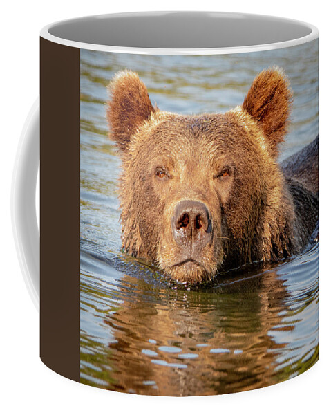 3D Bear Mug , Mama Bear with Cubs, 11 & 15 Oz Mug